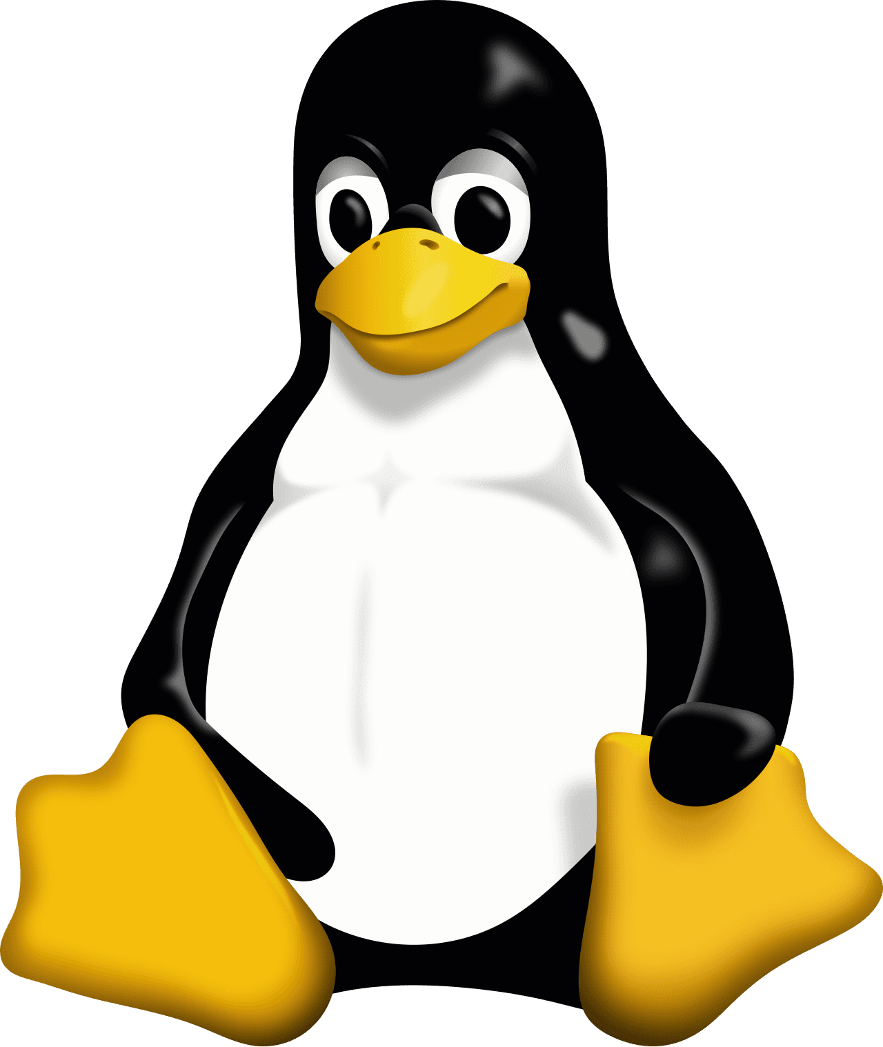 Linux kernel