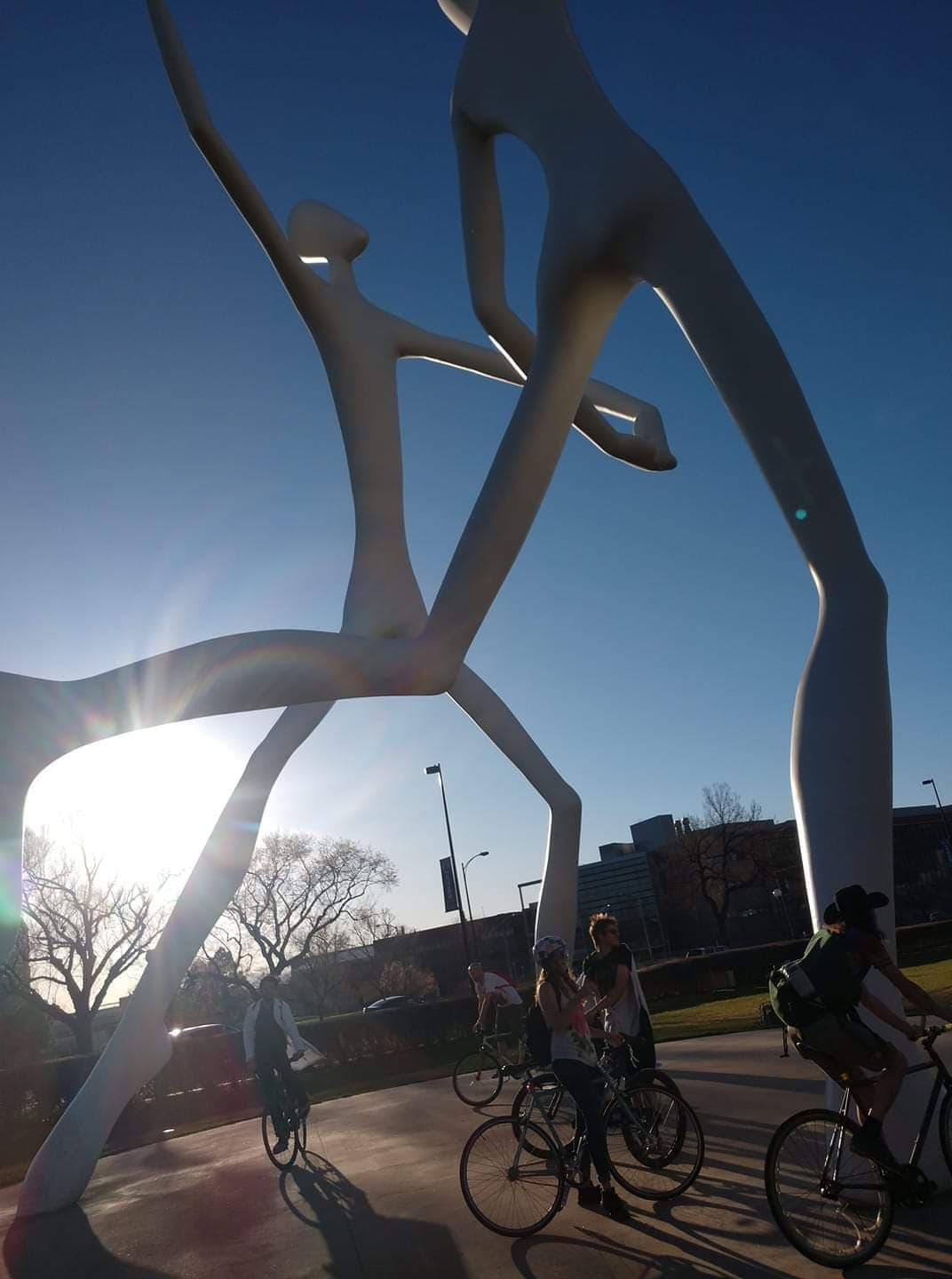 Bicycle Day (psychedelic holiday)