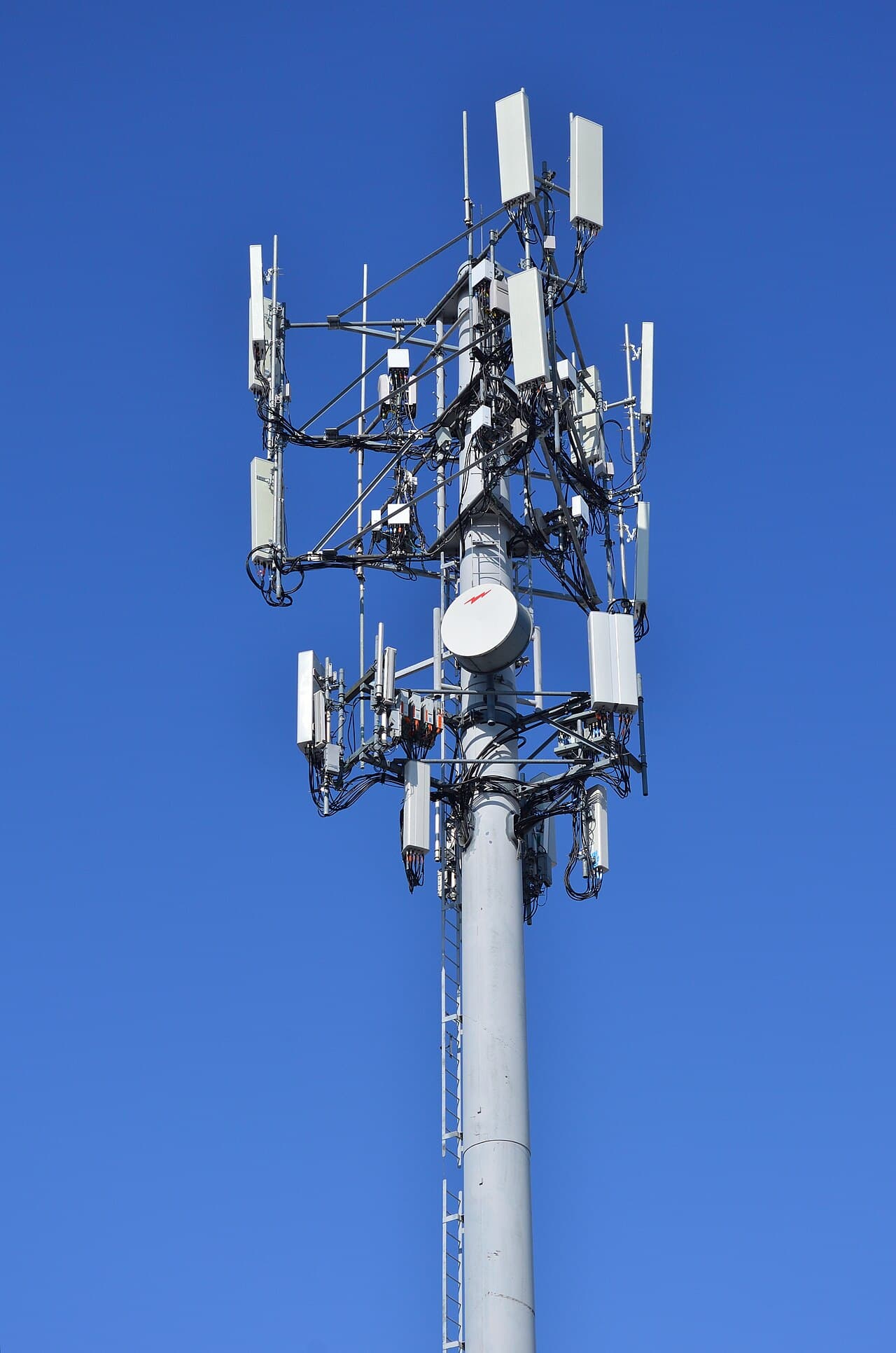 Cellular network